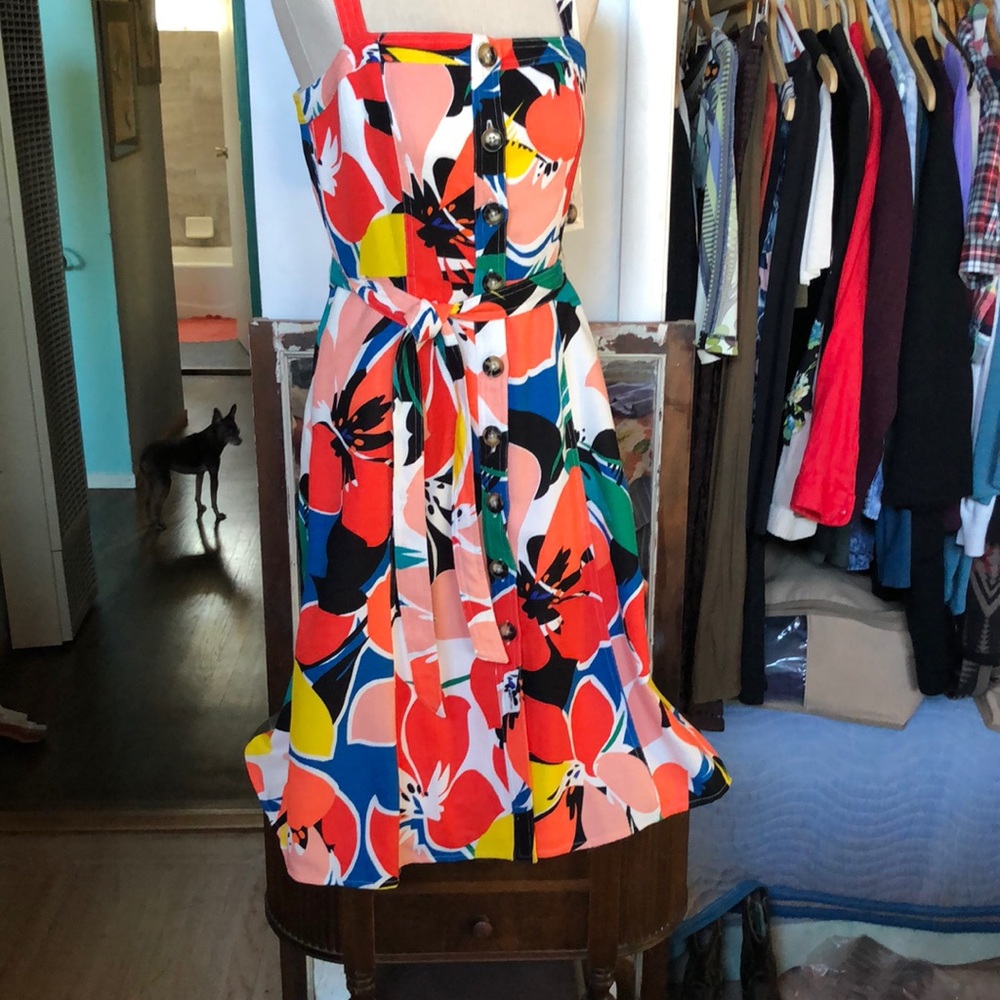 Donna Rocco Dress